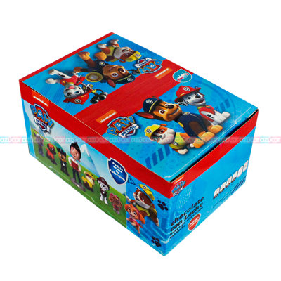 PAW PATROL 8/6